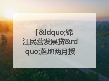 “锦江民营发展贷”落地两月授信1.7亿元，惠及118家民企